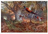 Pheasants Through the Oak Wood by Archibald Thorburn